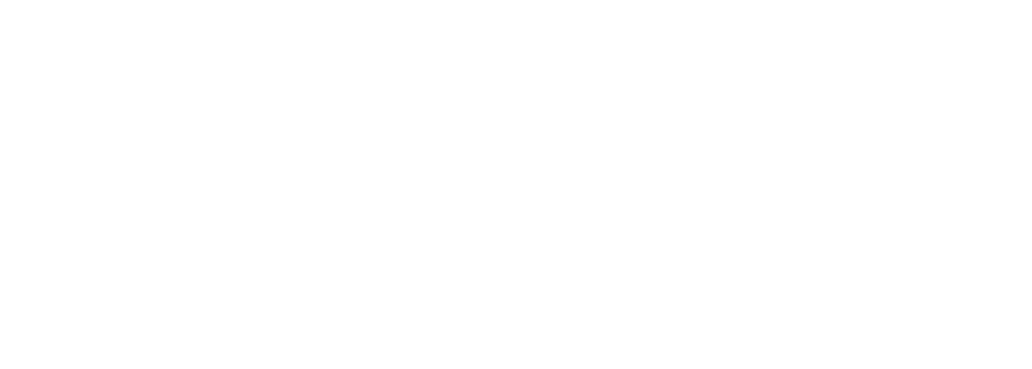APIMEC Brasil — 55 anos